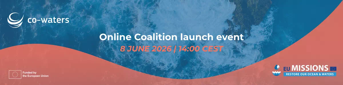 image Online Coalition launch event